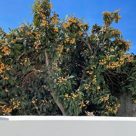 Appartement Our Charming House Portimão